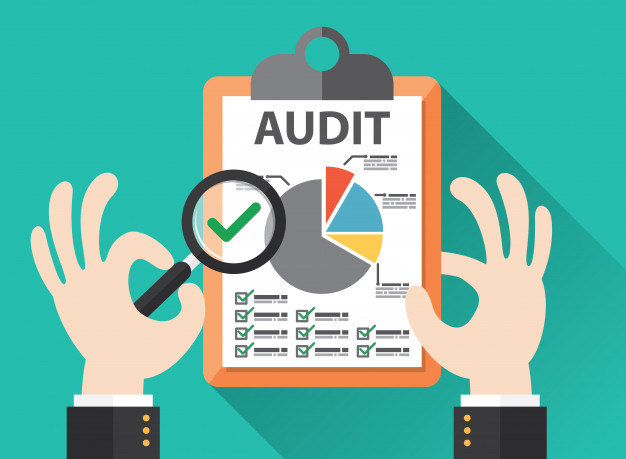 Why Management Audit is Necessary?